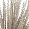 31" Light Brown Pampas Grass Stem by Ashland®